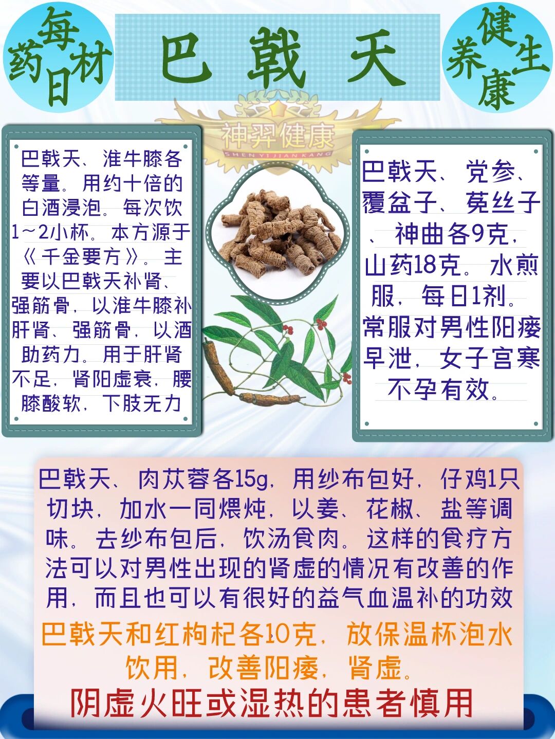 巴戟 功效图片