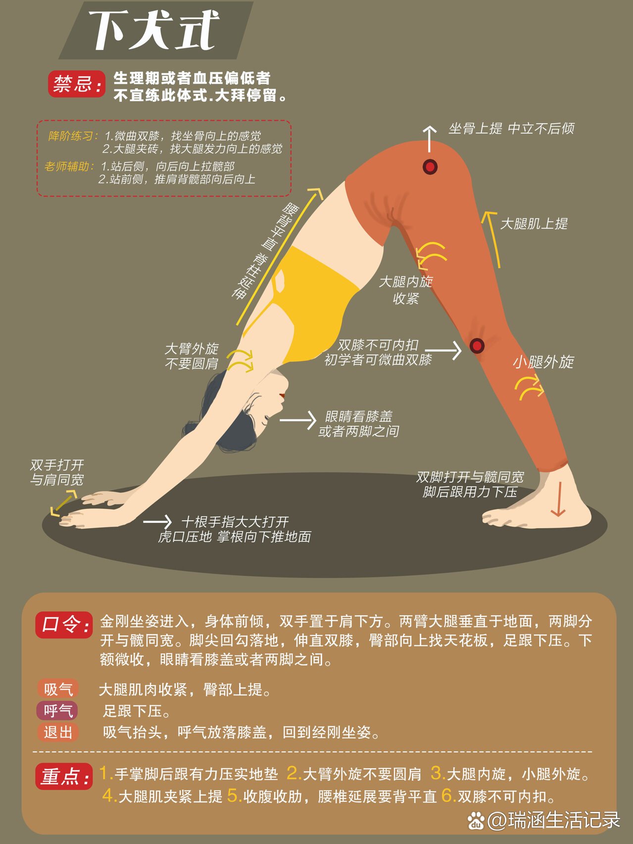 正确下犬式图片图片