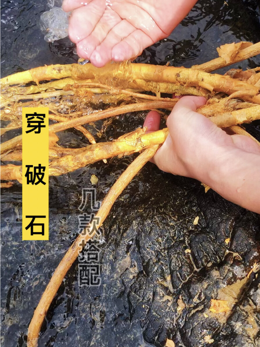 穿破石几款搭配的功效