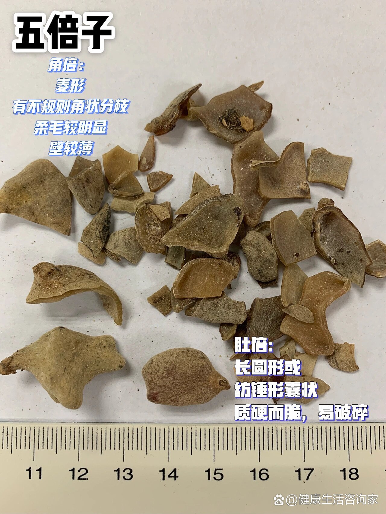 学中药,先认药|五味子,五倍子,乌梅