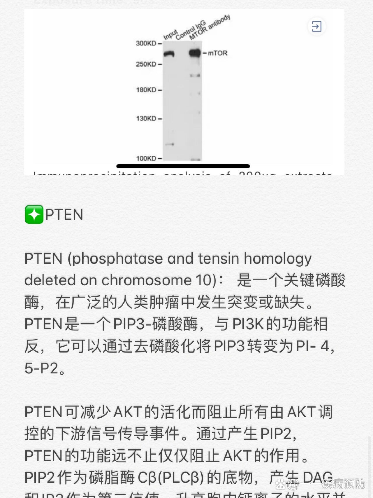 经典信号通路PI3K-AKT-mTOR🔥超全解析