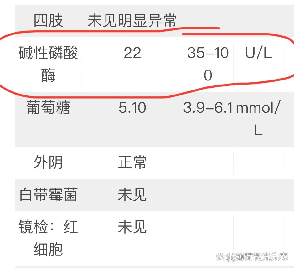 儿童碱性磷酸酶300多图片