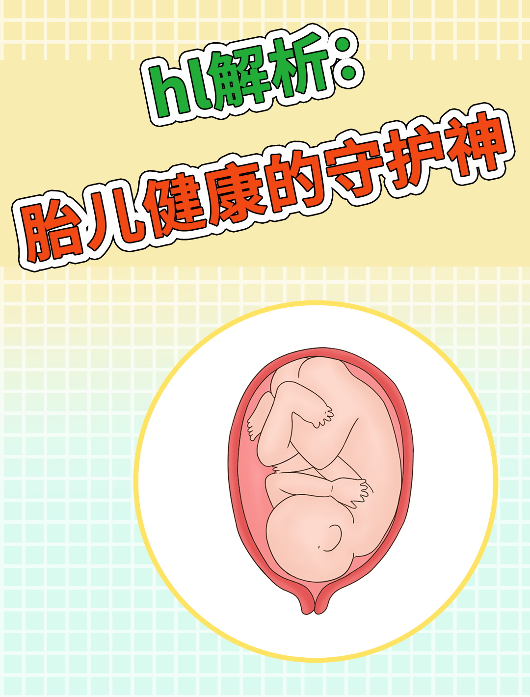 揭秘!hl原来是这个!