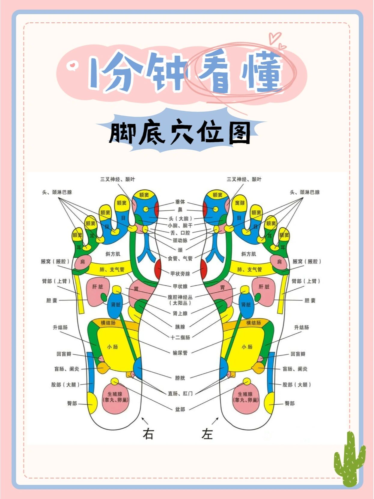 脚部学位图解大全高清图片