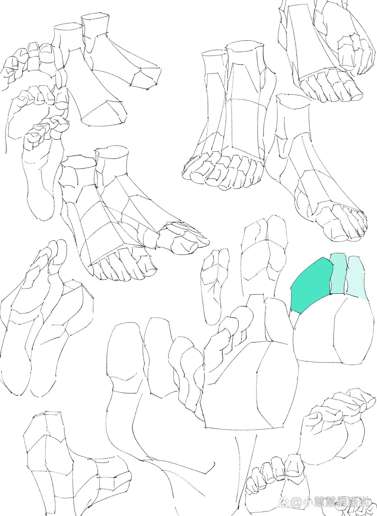 脚部 结构简化脚部跟手部类似,需要把握脚趾的朝向和透视,<br