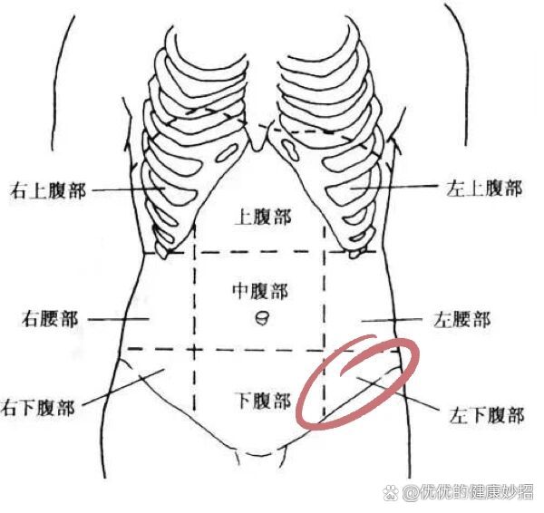 膀胱炎哪里疼图片