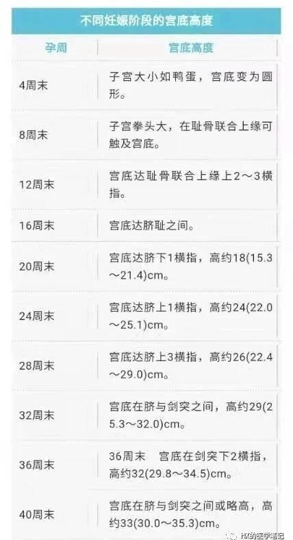 子宫大小与孕周