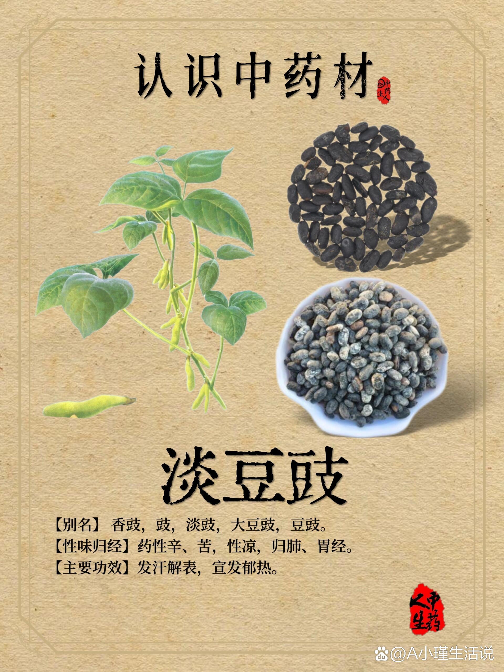 淡豆豉药图片及功效图片