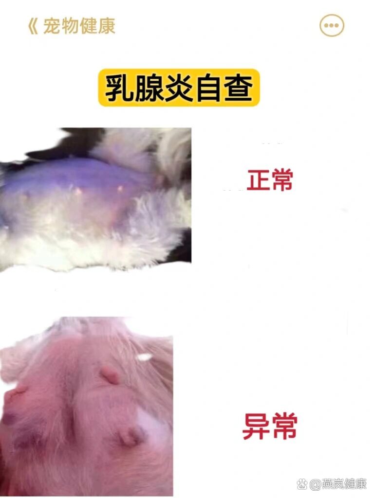 乳腺病有什么症状图片图片