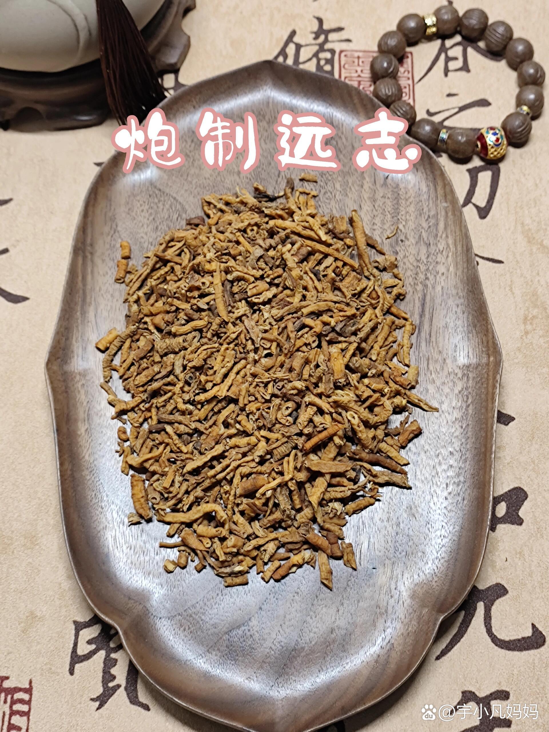 制远志的图片大全,制远志图片大全_大山谷图库