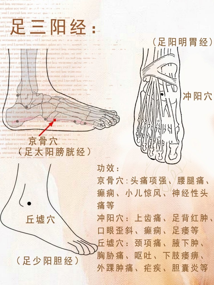 冲阳的准确位置与功效图片