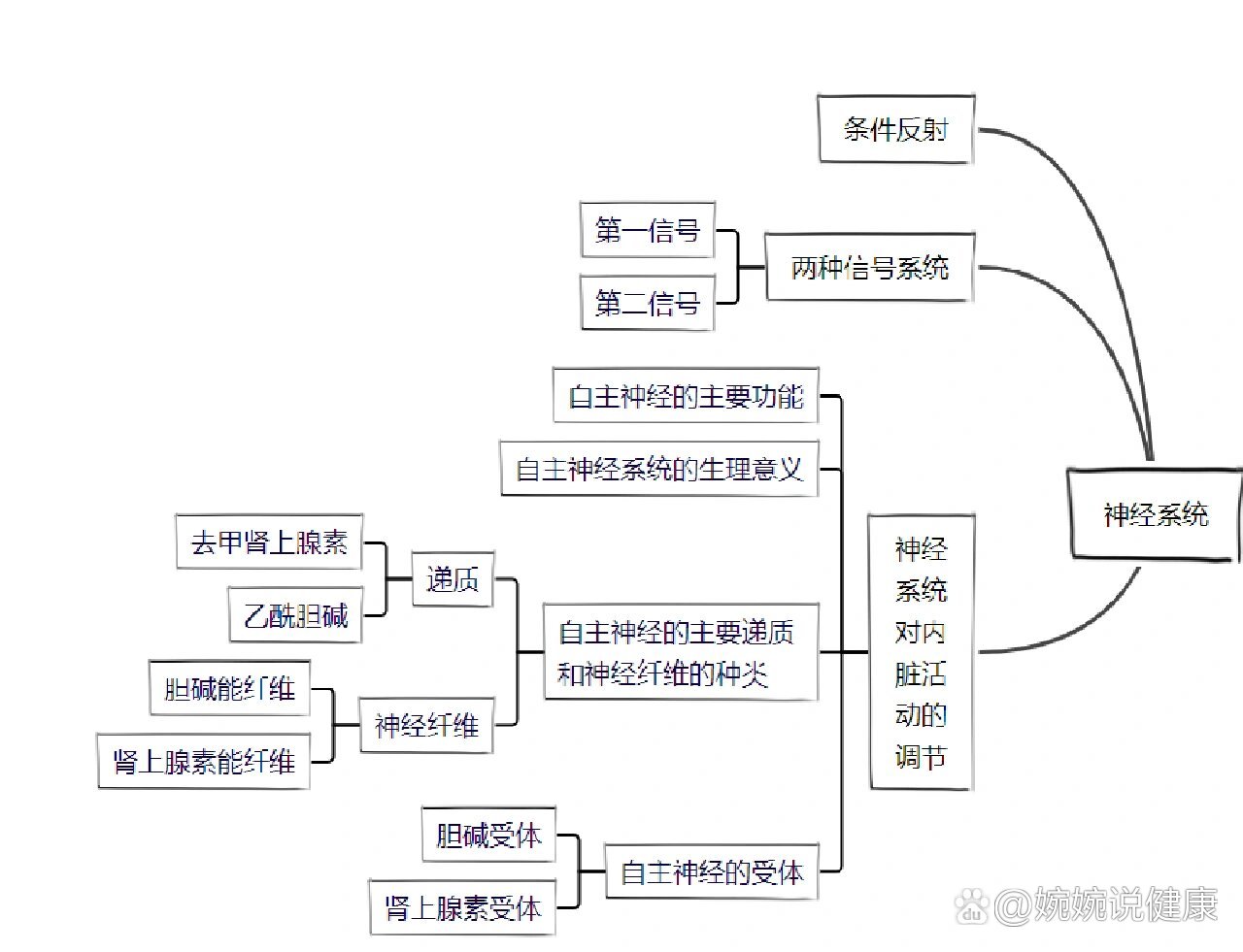 生理学第十章神经系统思维导图总结