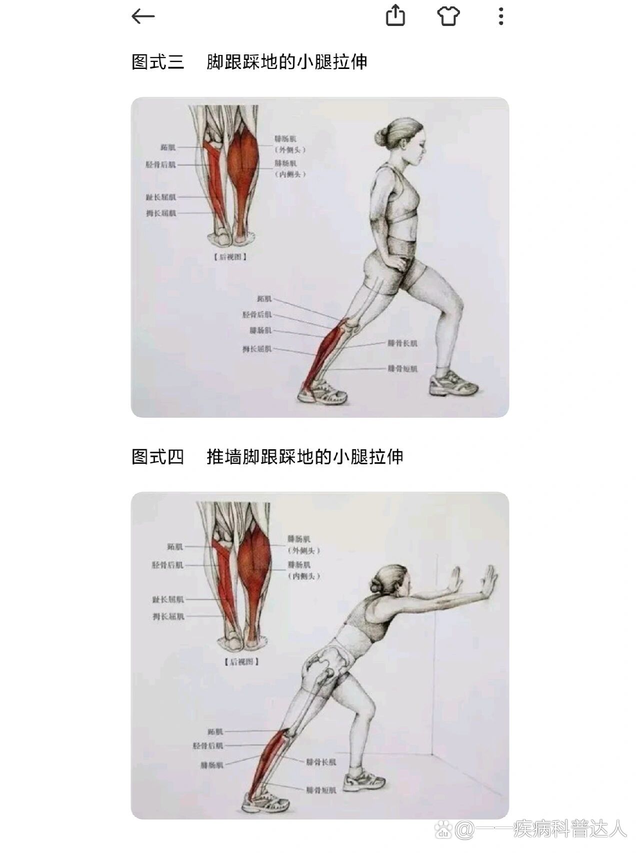 肌肉牵动骨运动图片