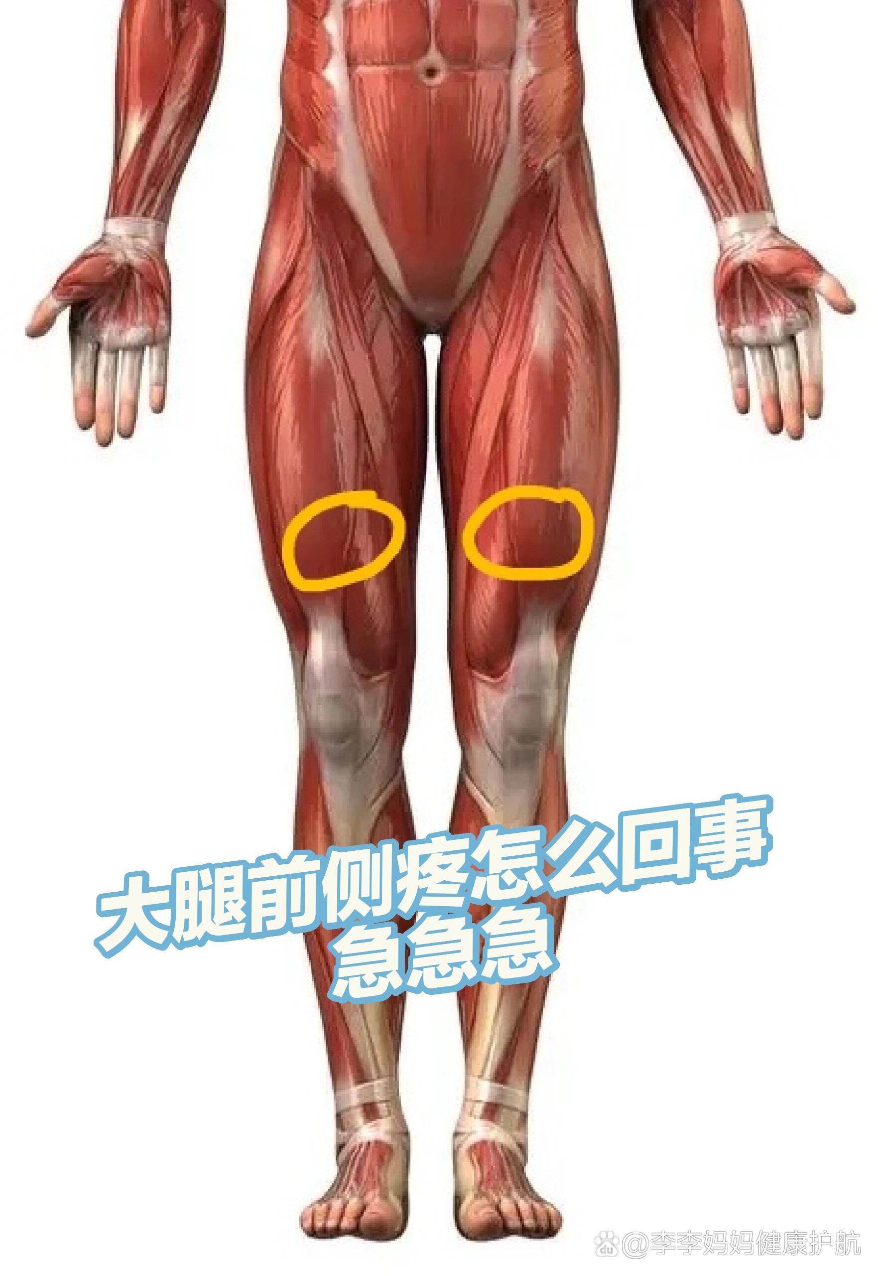 大腿前侧疼?