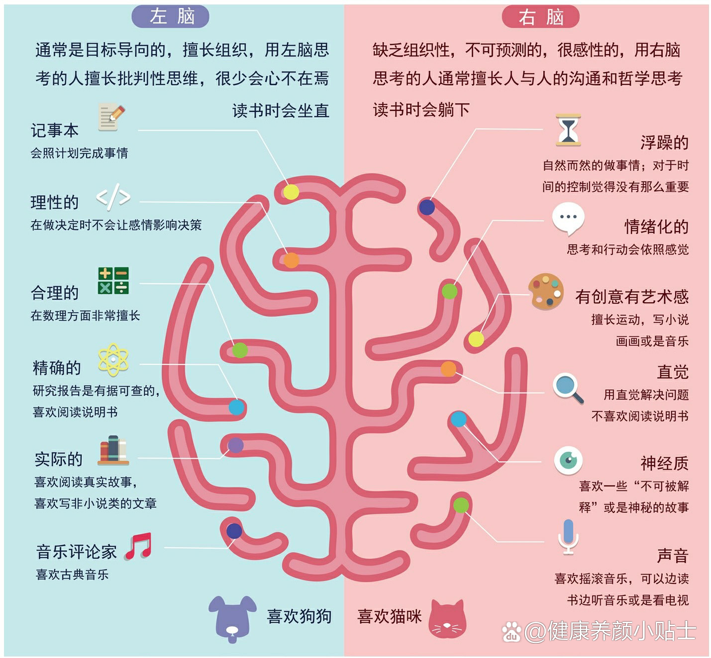 左脑vs右脑 理性vs感性