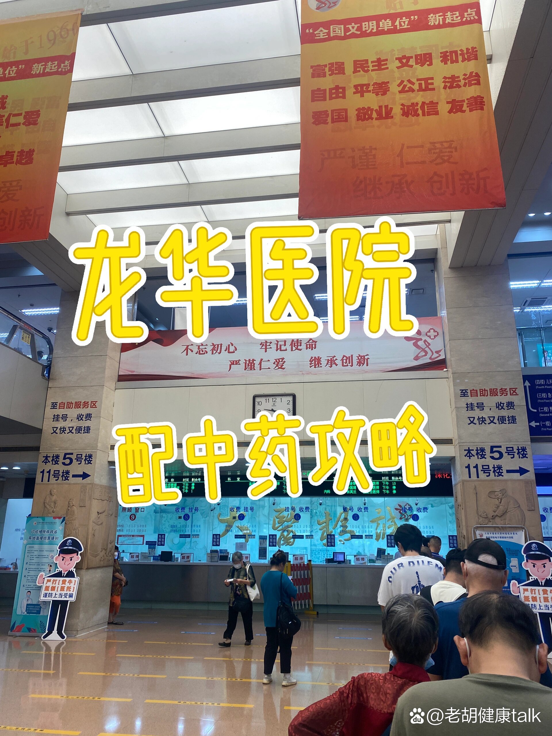 上海龙华医院配中药攻略