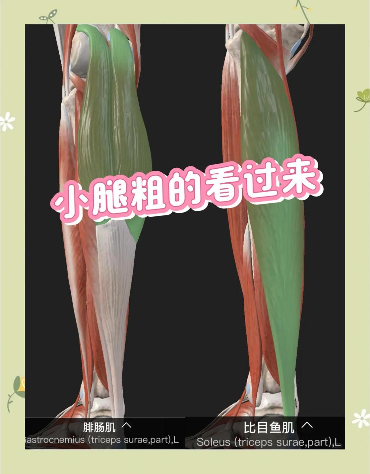 小腿粗壮的6个原因和改善方法