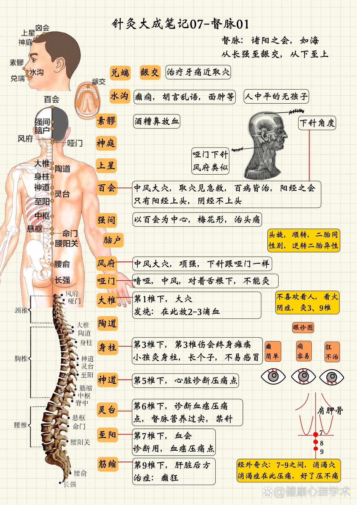 针灸篇|奇经八脉之督脉循行及取穴治症