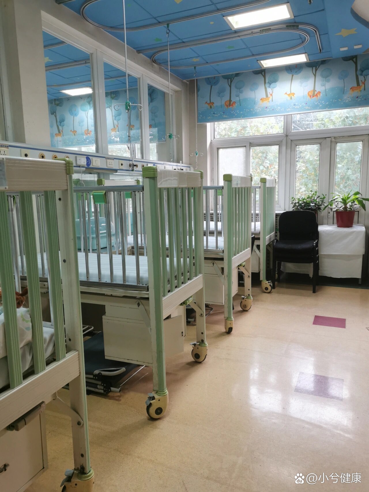 关于北京儿童医院代诊挂号服务-住院床位协助协调的信息 关于北京儿童医院代诊挂号服务-住院床位协助协调的信息