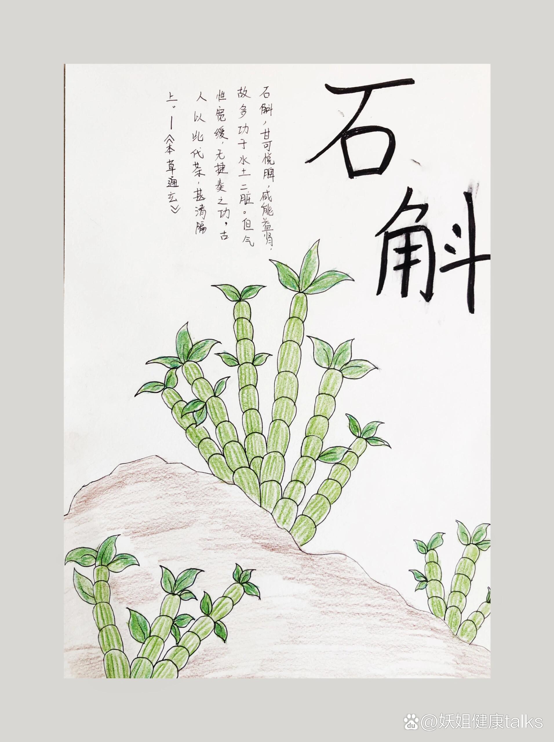 中草药🌿