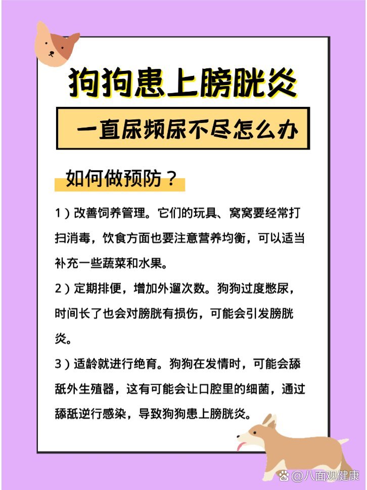 膀胱炎怎么治疗图片