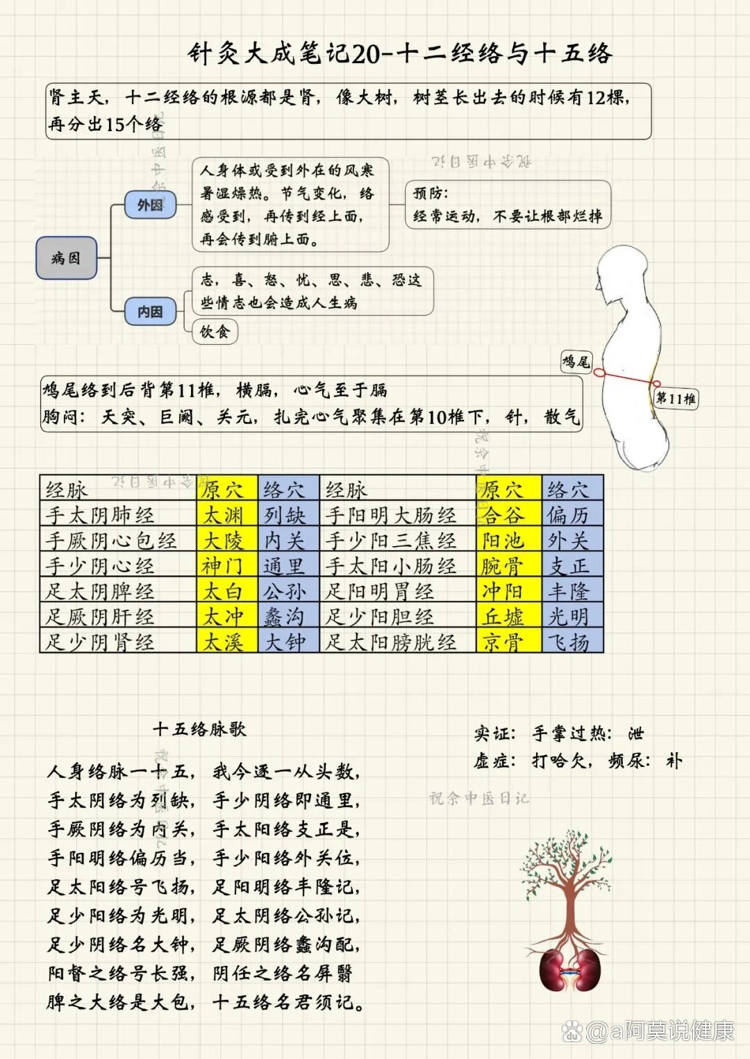 人体经络走向口诀图片