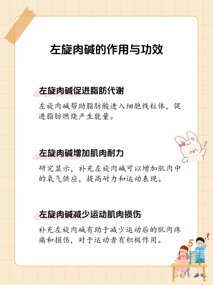 左旋肉碱到底有何神奇功效?来揭秘!