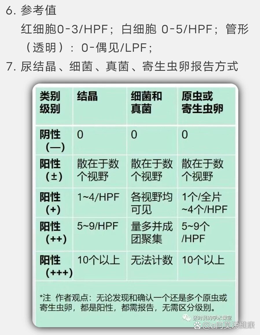 尿沉渣检查图片