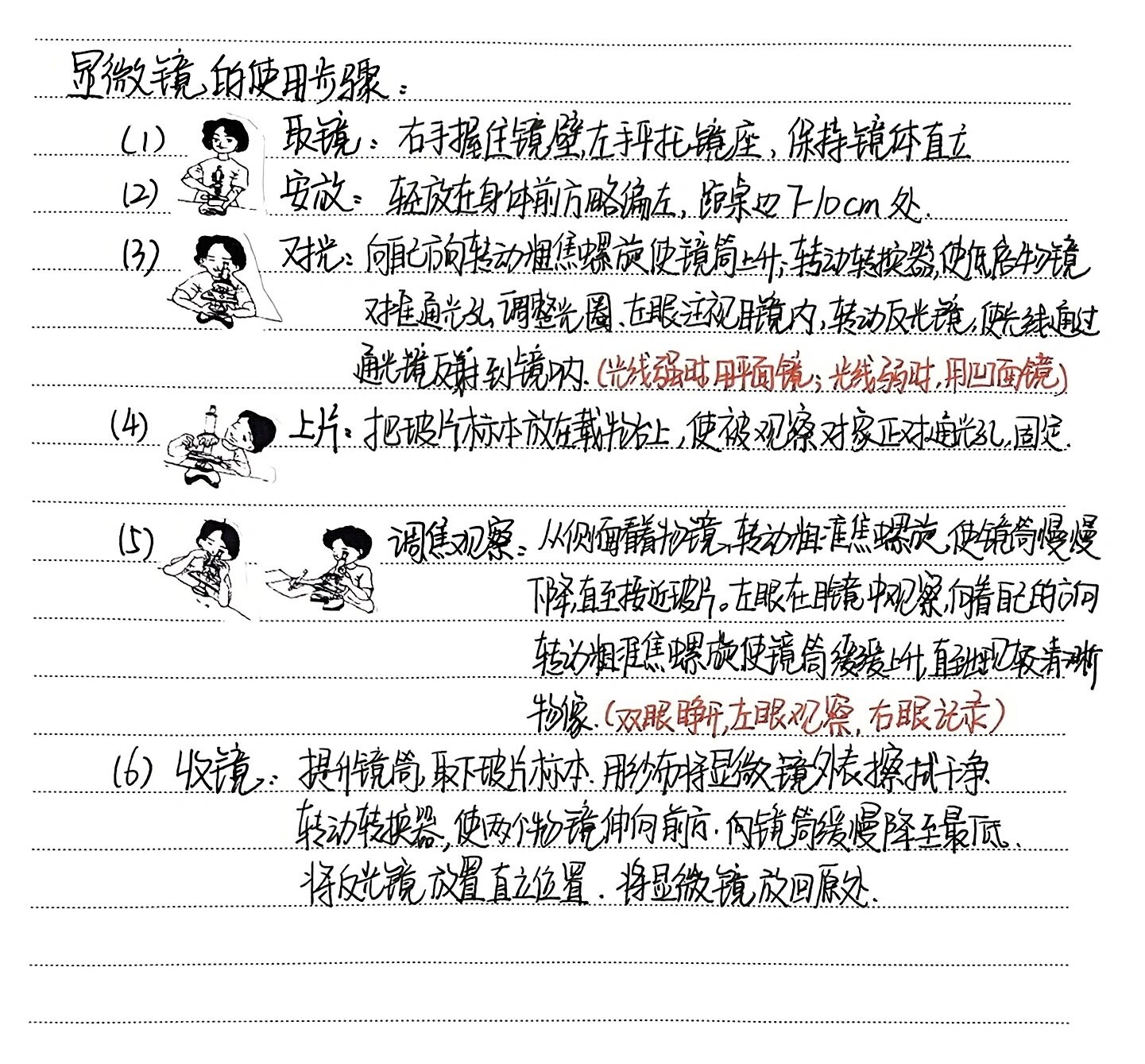 学生显微镜的使用方法图片