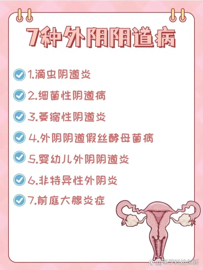 女人下面有几种图片