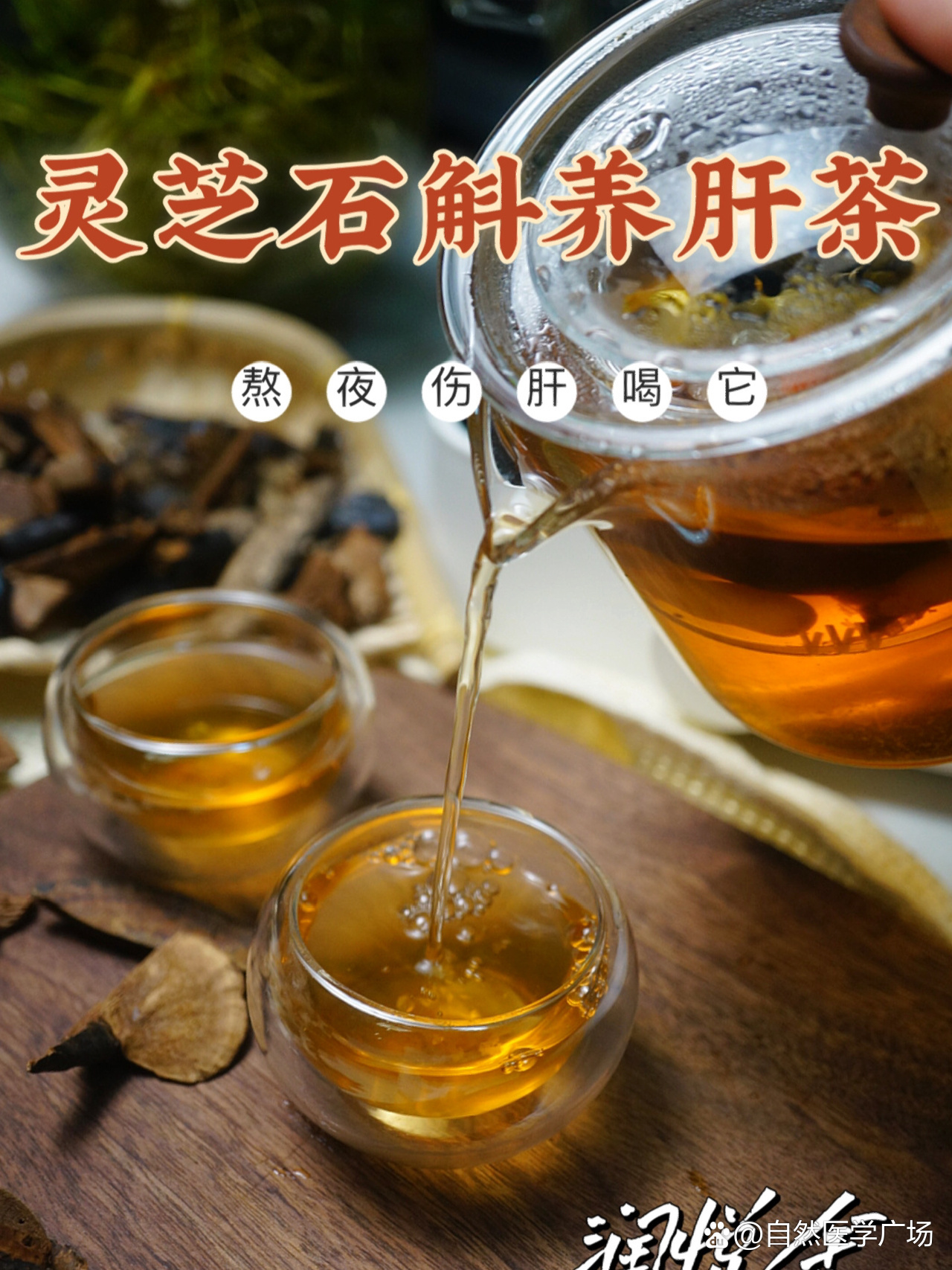 灵芝石斛西洋参养肝茶