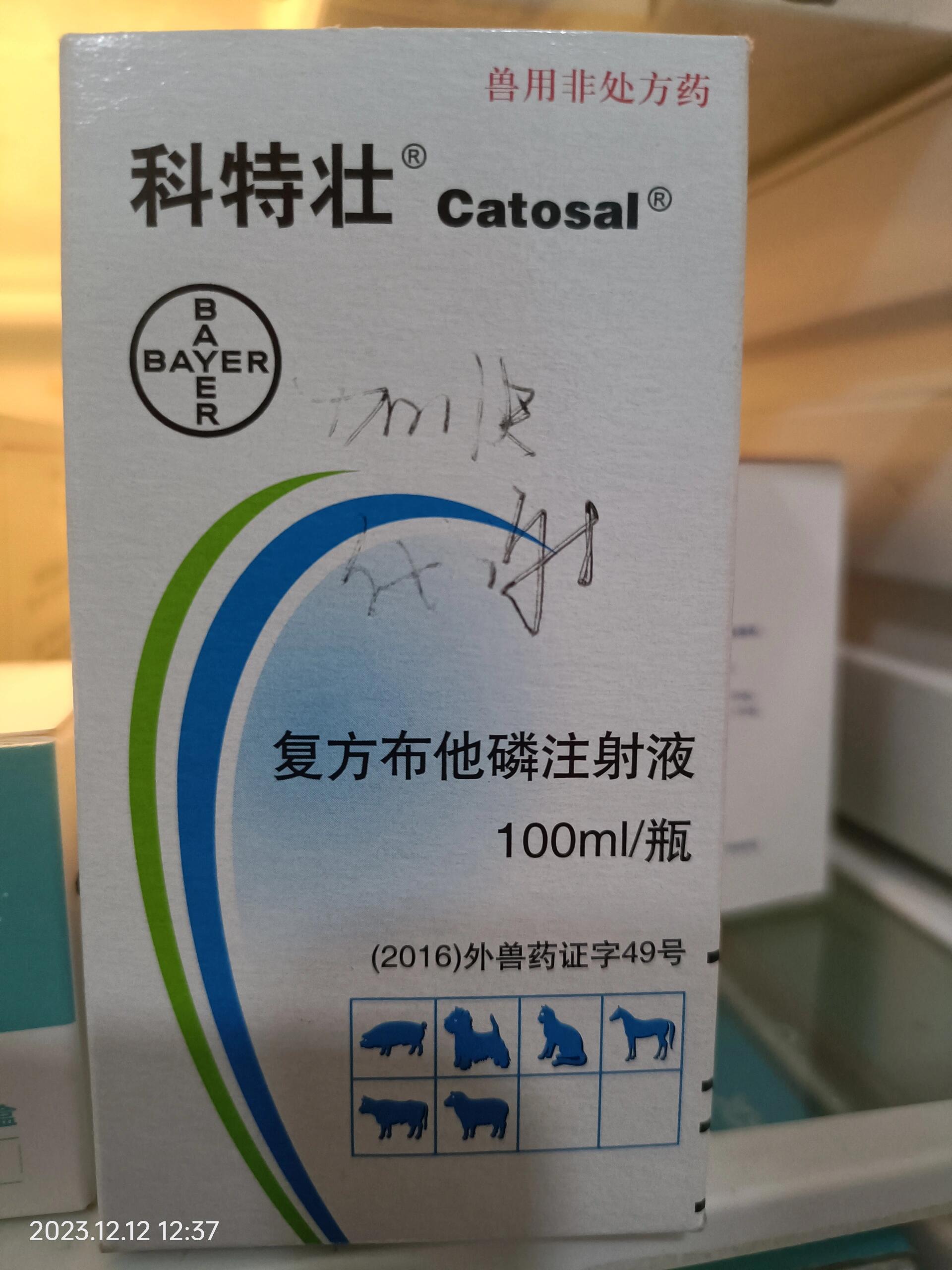 实习:兽医助理工作日常——每天认识几种药