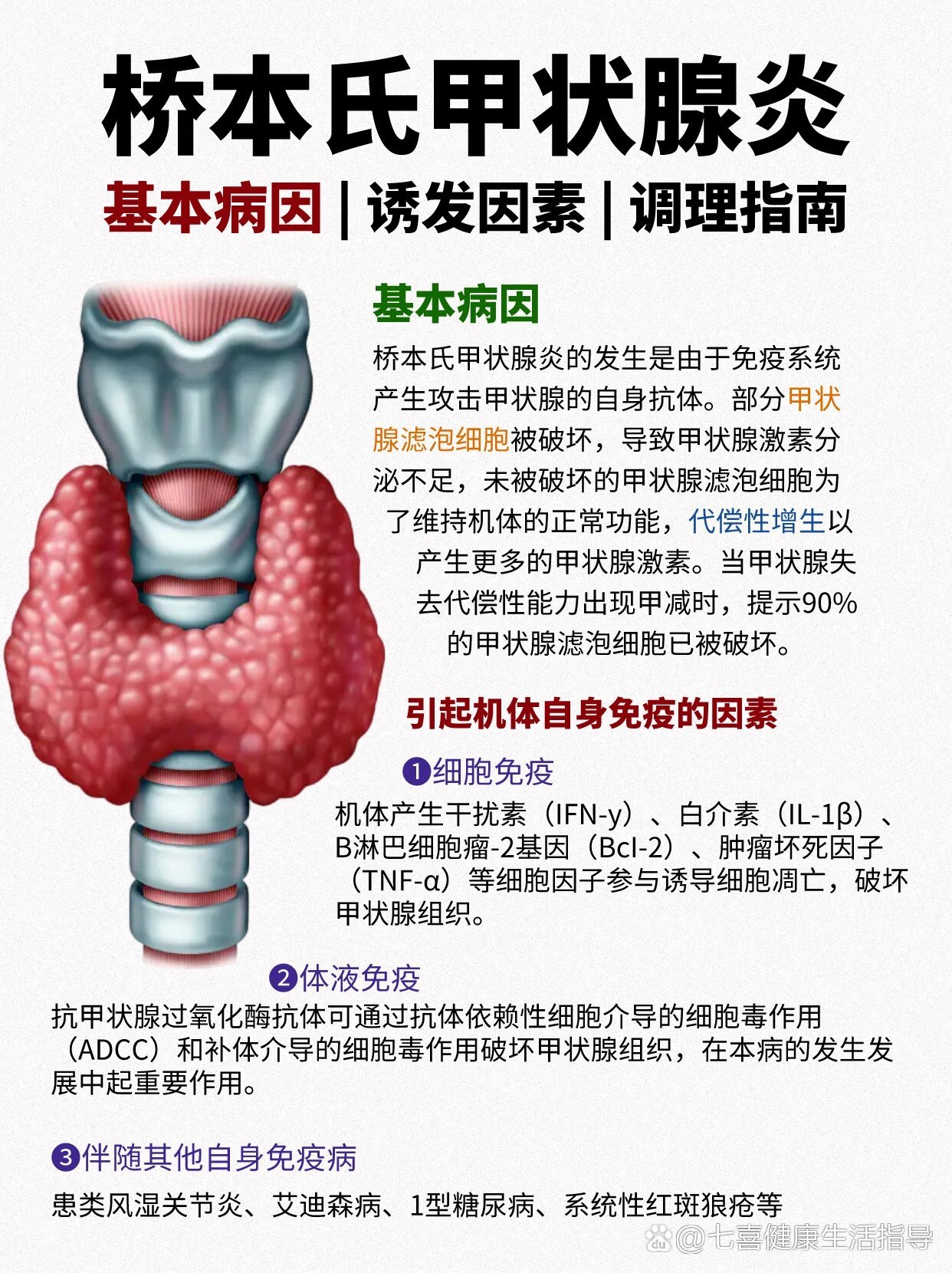 桥本氏甲状腺炎