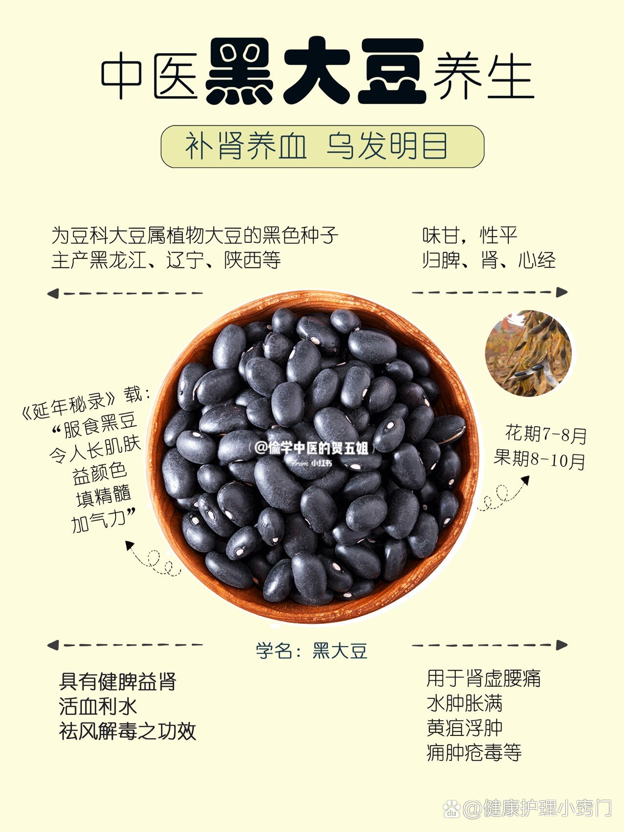 13养生课堂95黑豆91补肾养血