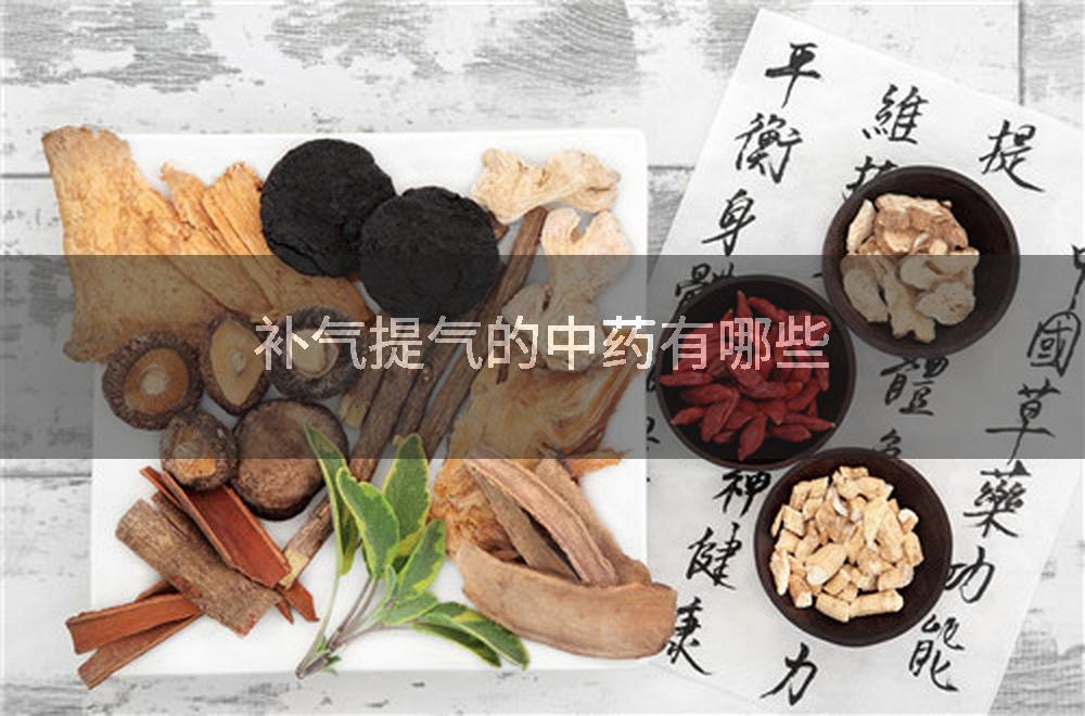 补气提气的中药有哪些