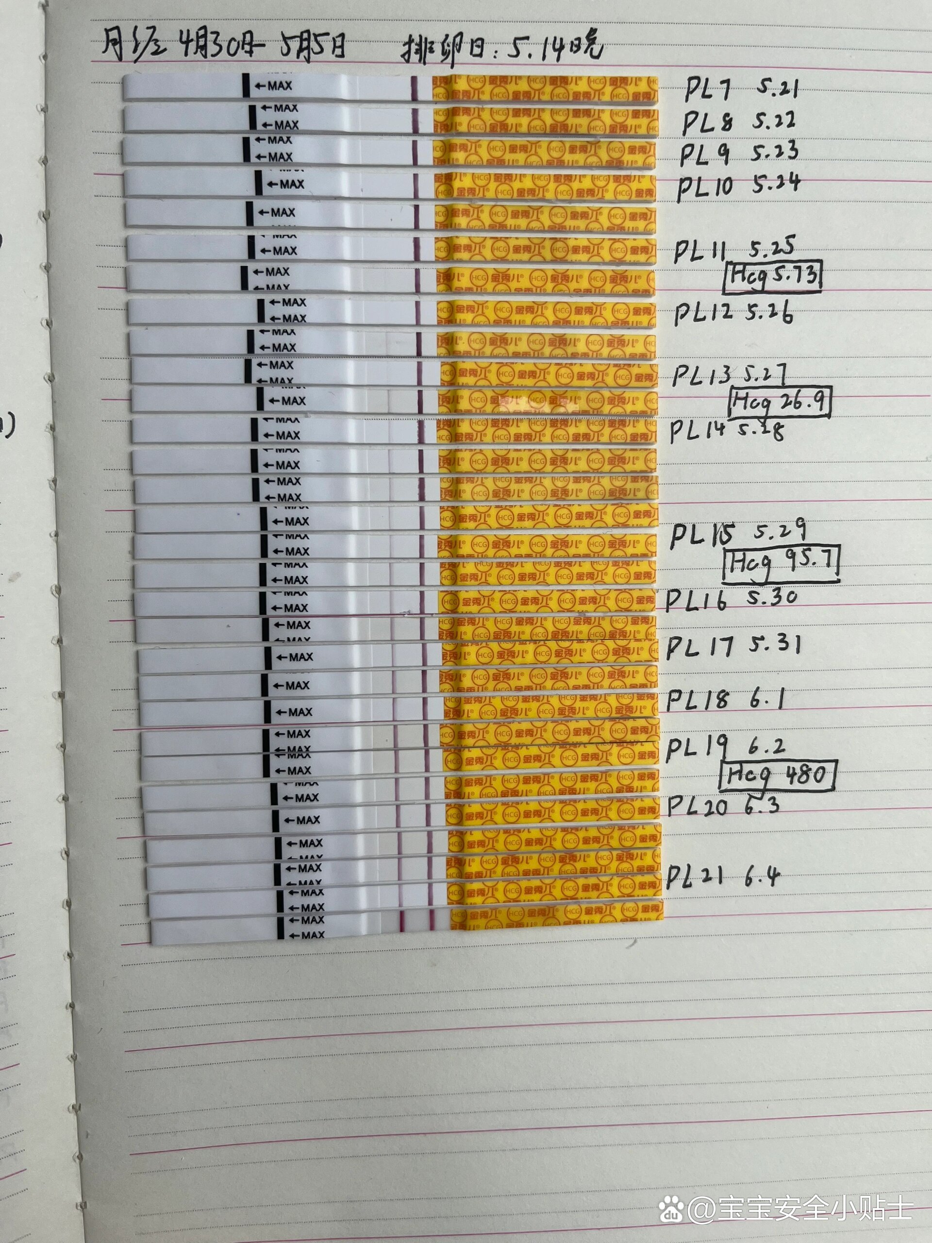 苹果11进水试纸位置图图片