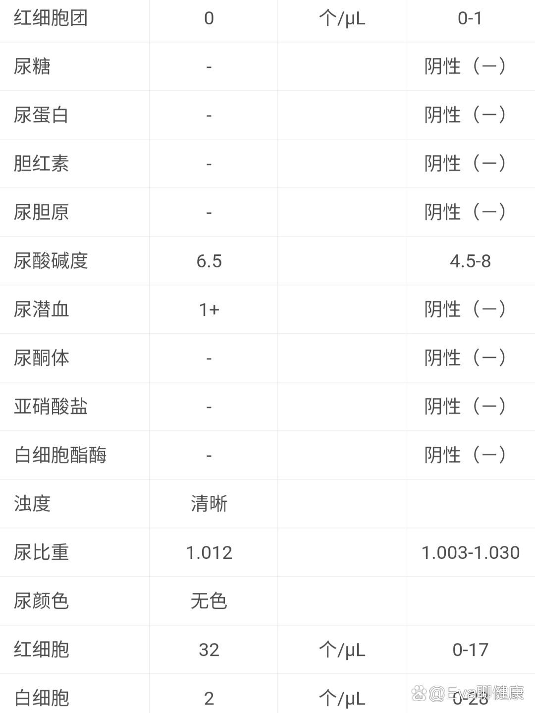 尿潜血2十是怎么回事图片