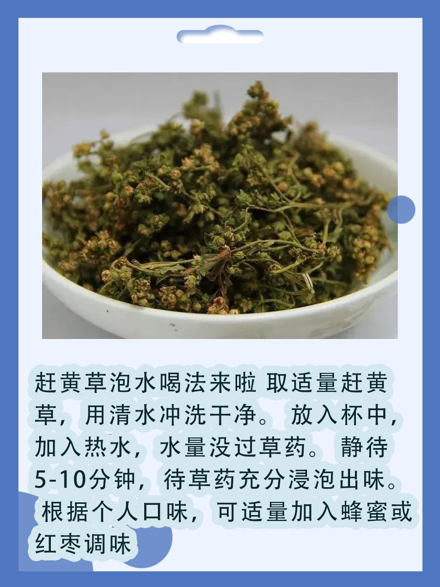 赶黄草泡水喝有何功效与危害?一文读懂