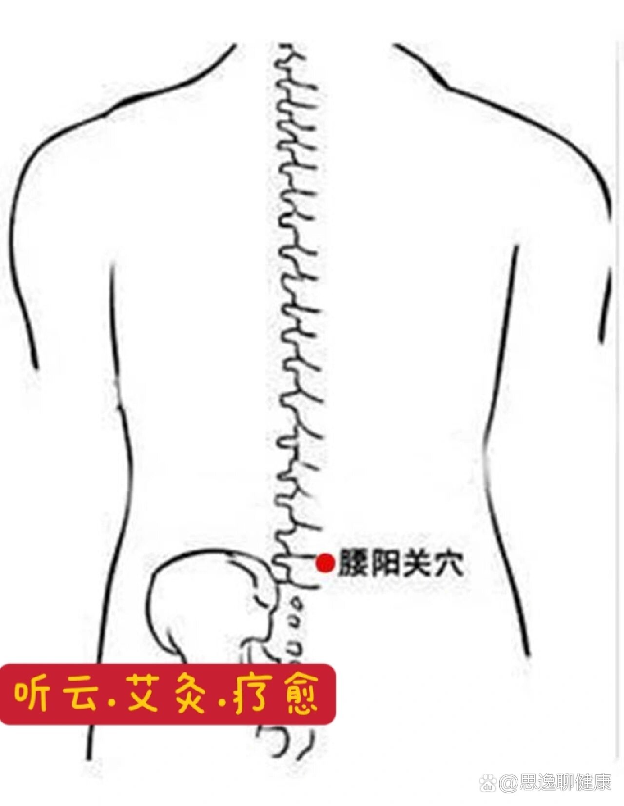 腰阳关准确位置图 图图片