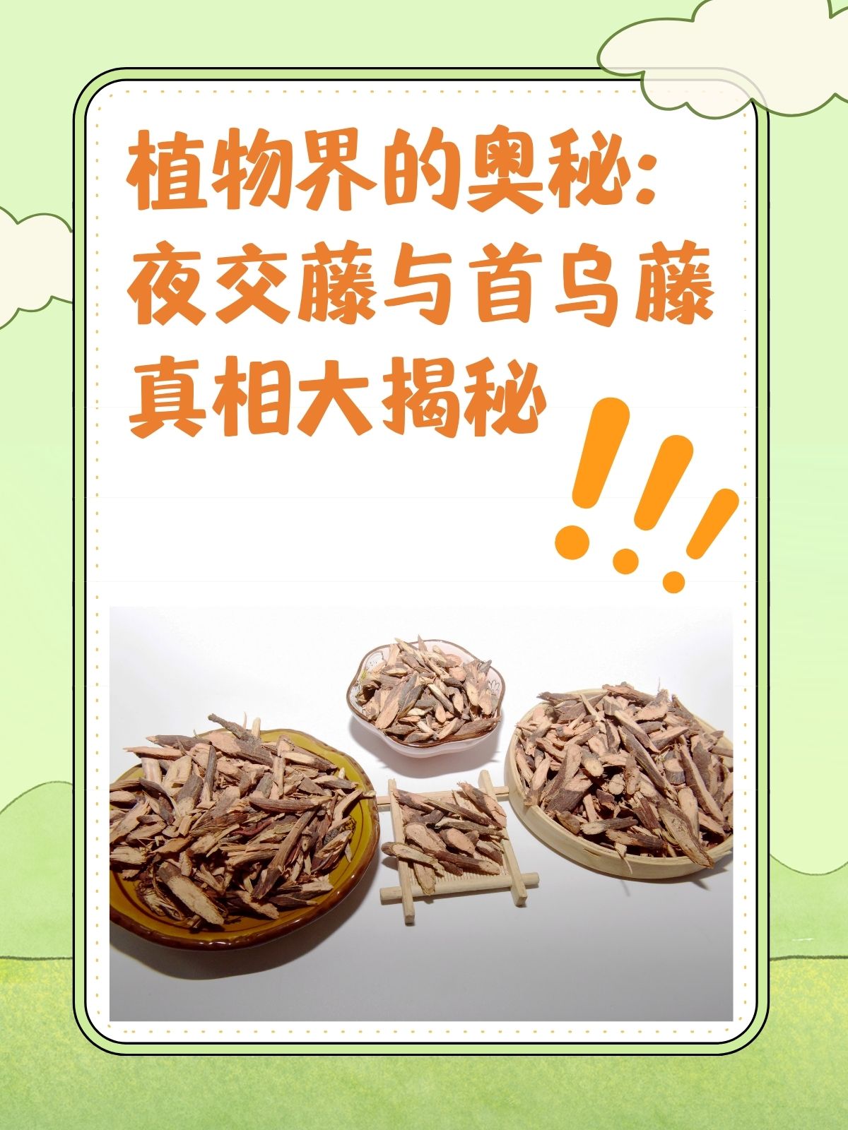 植物界的奥秘:夜交藤与首乌藤真相大揭秘