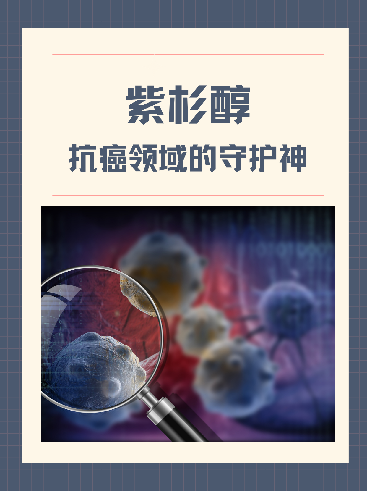 紫杉醇:抗癌领域的守护神
