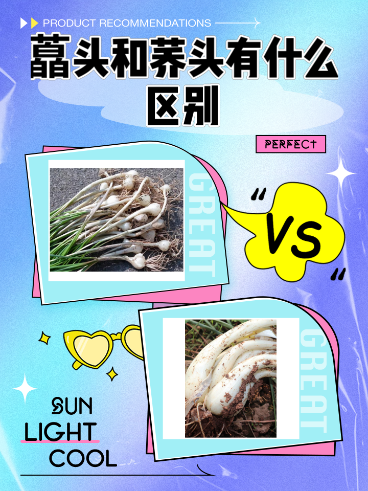 藠头和荞头有什么区别