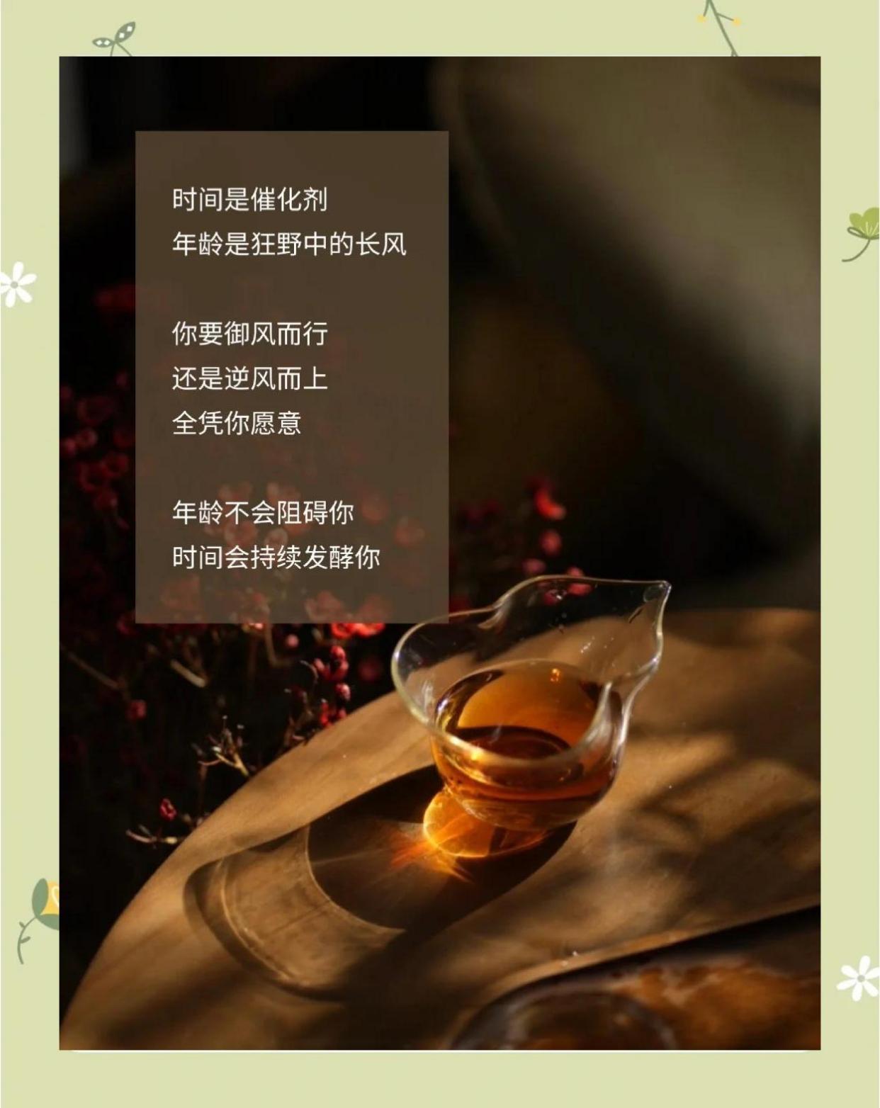 35岁，我决定用一年时间沉淀自己