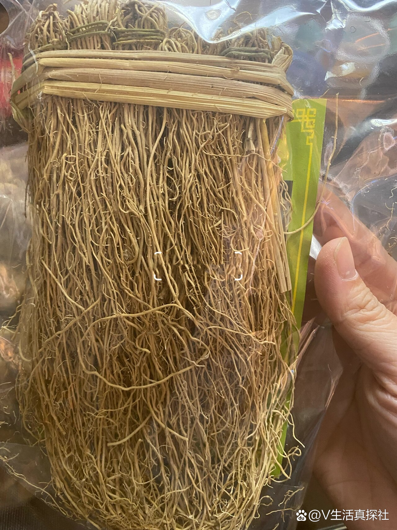 丝线根养肝金草