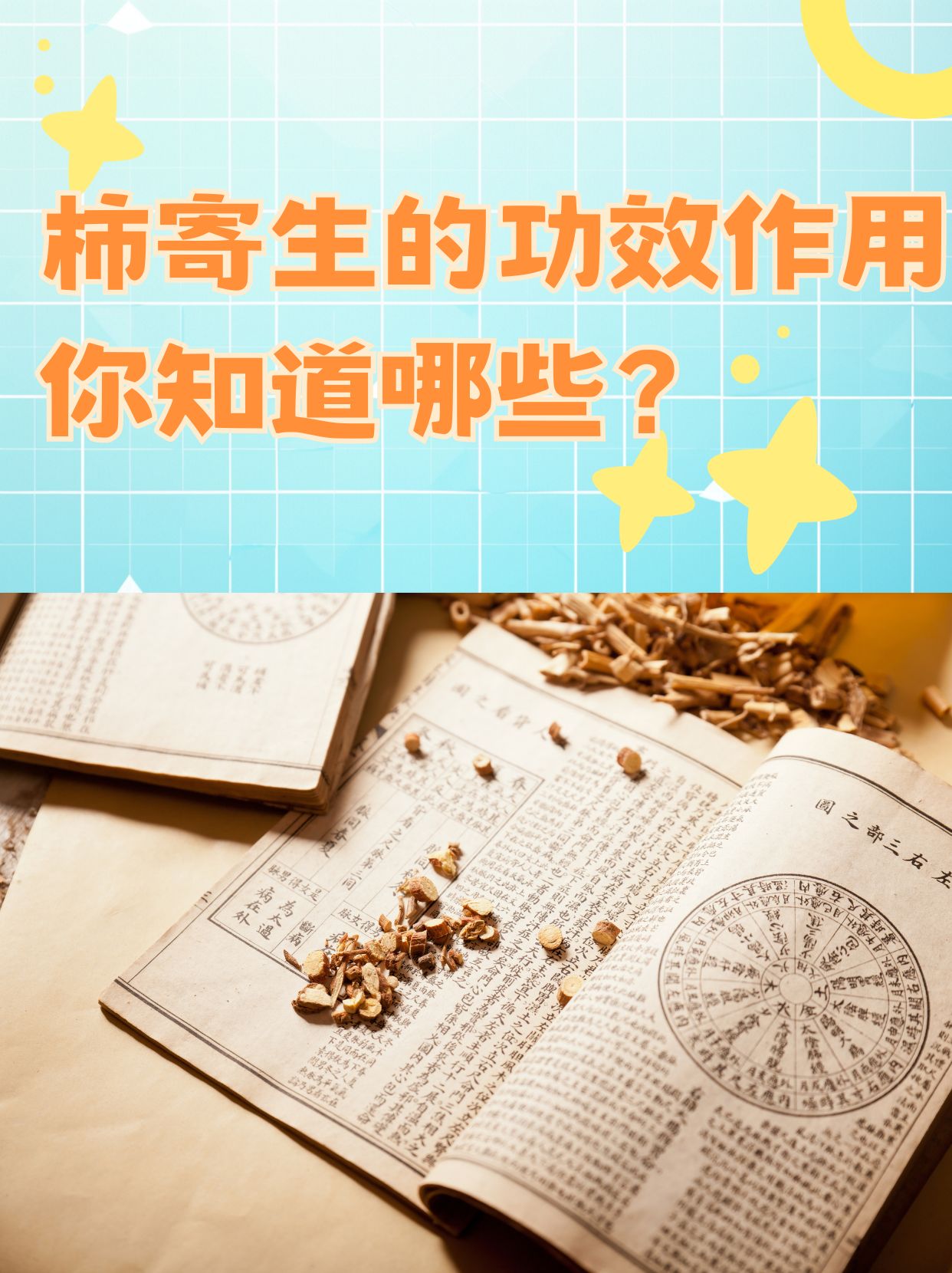 柿寄生的功效作用,你知道哪些?