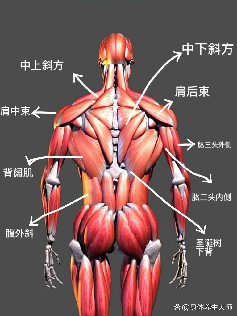 下手臂图片