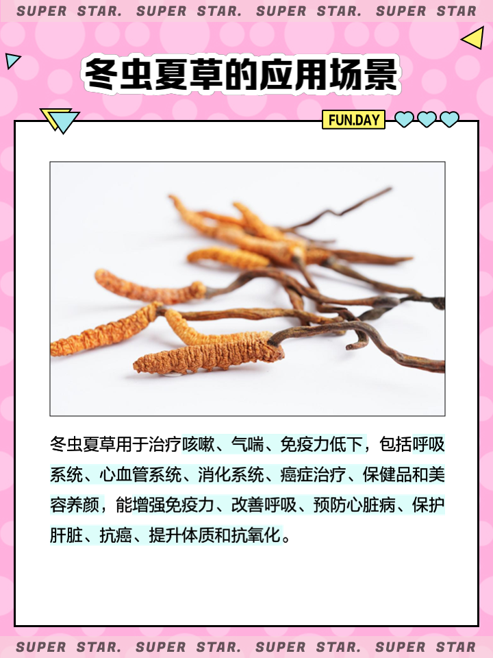 冬虫夏草(天边细支