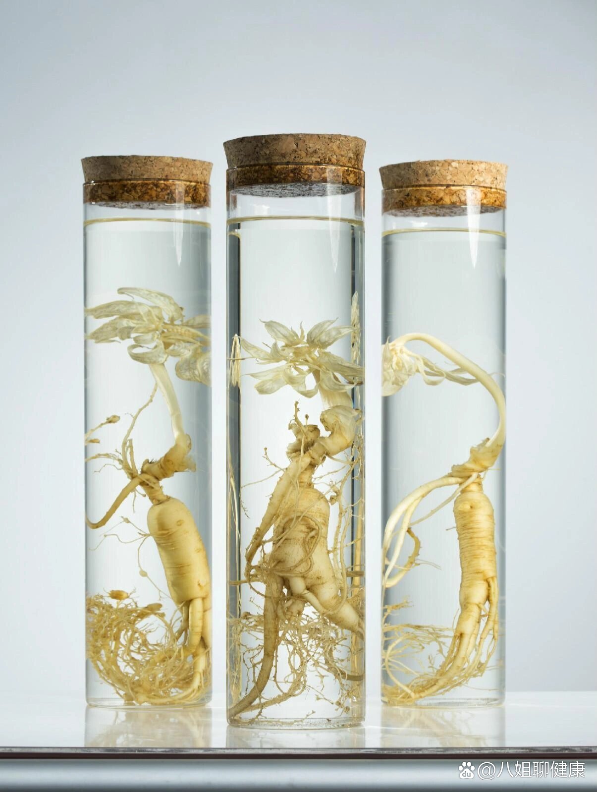 鹿茸,山药泡酒,什么作用🍶鹿茸山药酒配方:鹿茸4克