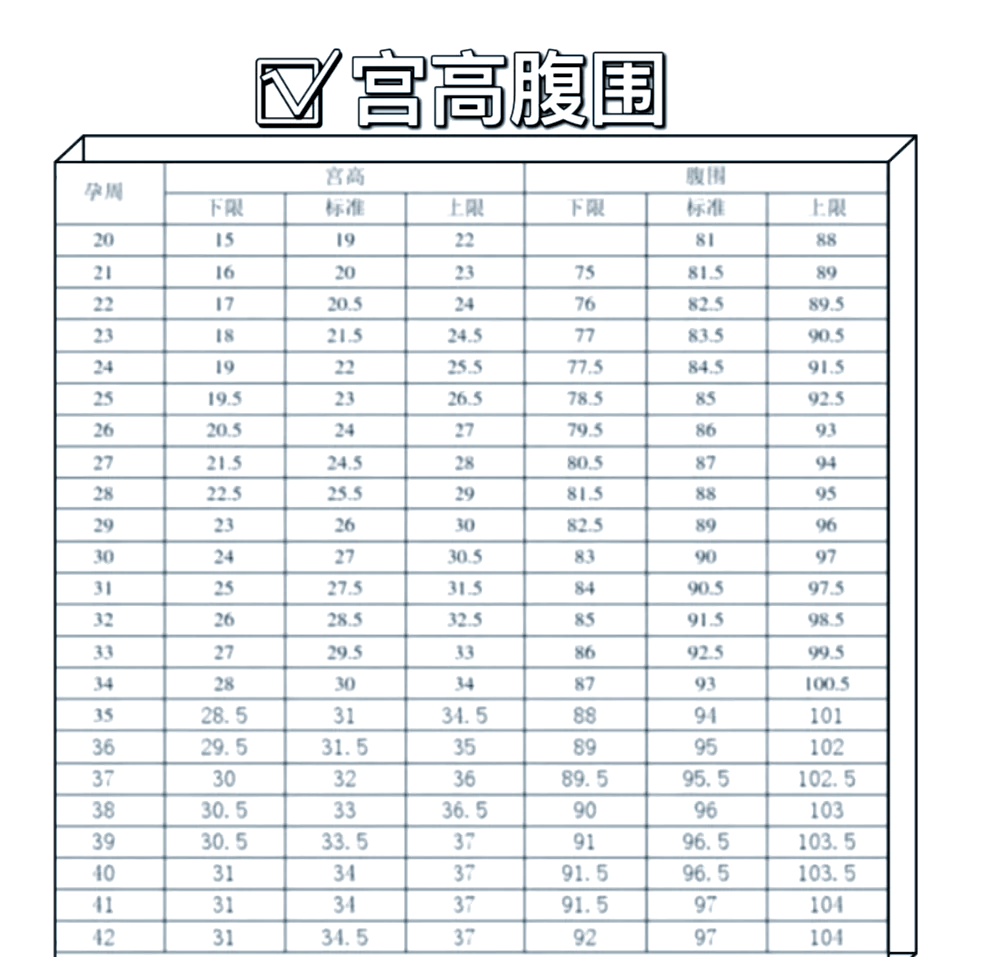 🤰孕期宫高与孕周对照指南