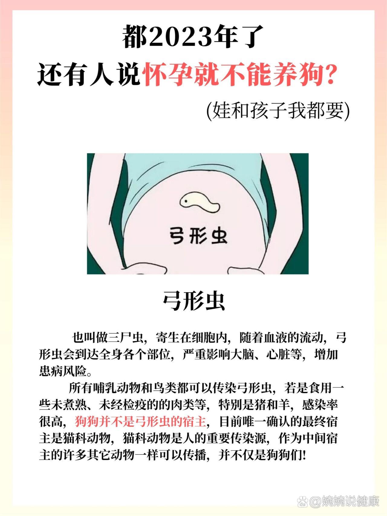 养狗会导致孕妇感染弓形虫?